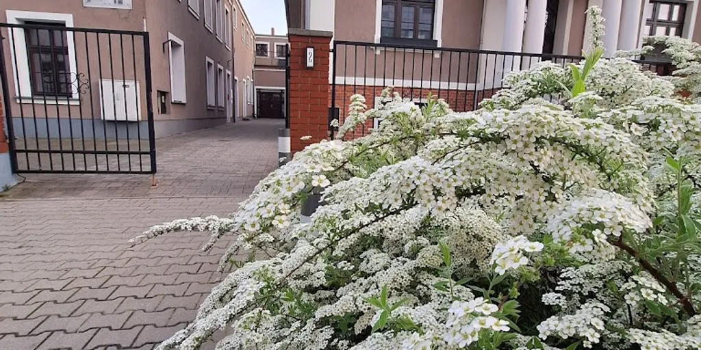 Studio Sananda Szkoła Yogi - Joga Poznań 3