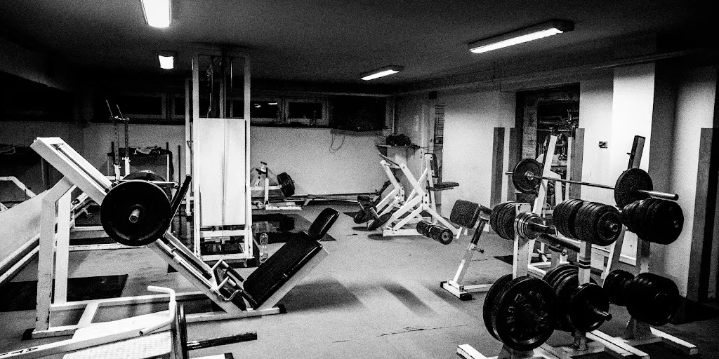 Olimp Fight And Power Gym 6