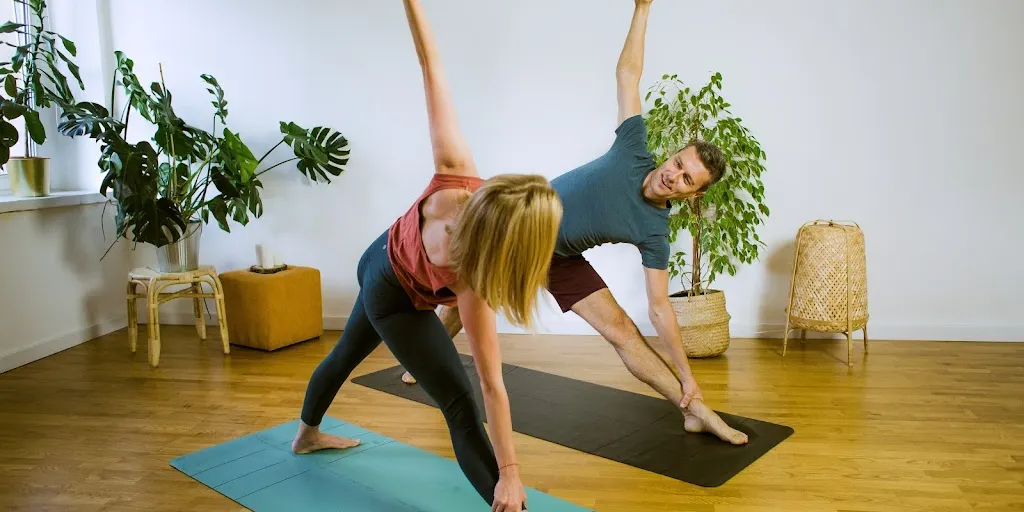 Joganika - szkoła jogi w Katowicach 2